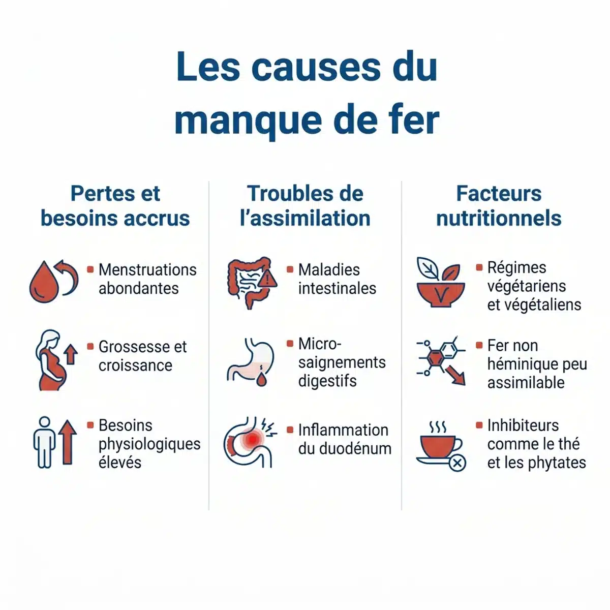 Infographie expliquant les trois principales causes du manque de fer : pertes, malabsorption et alimentation.